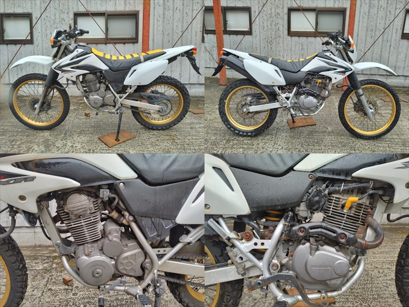 車體畫像①